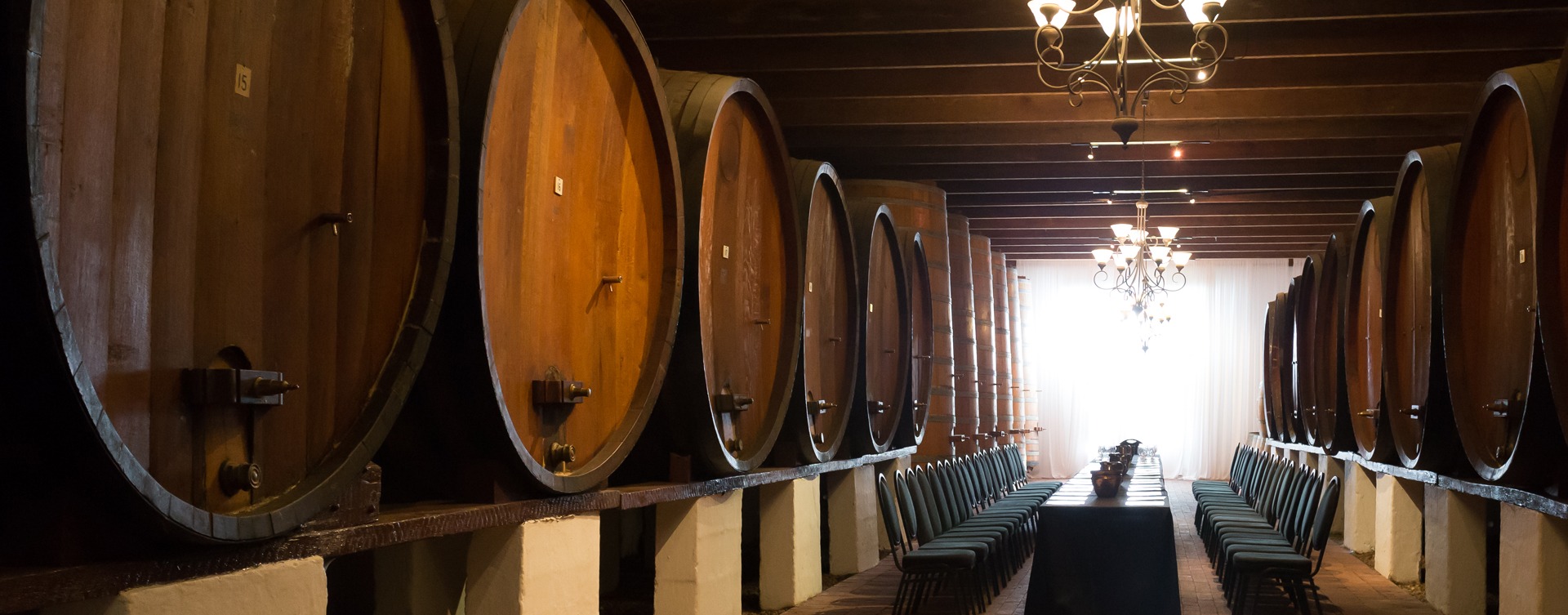 Wine Tasting Experience GuidessAthena